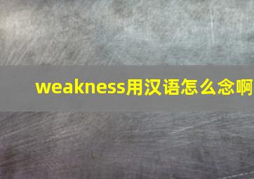 weakness用汉语怎么念啊