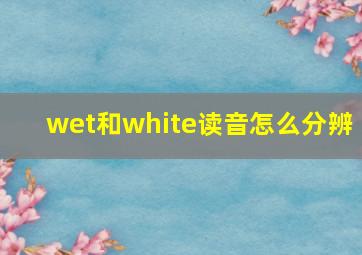 wet和white读音怎么分辨 