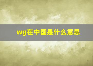 wg在中国是什么意思