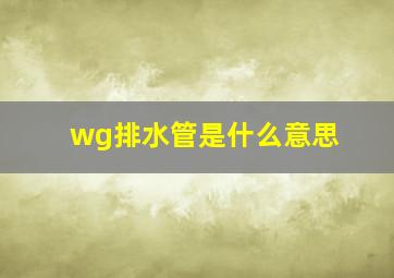 wg排水管是什么意思