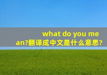 what do you mean?翻译成中文是什么意思?