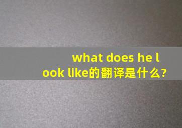 what does he look like的翻译是什么?