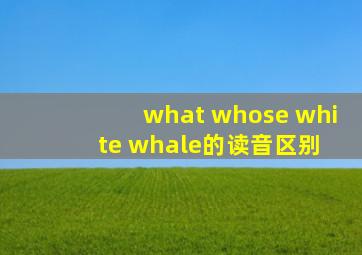 what whose white whale的读音区别 