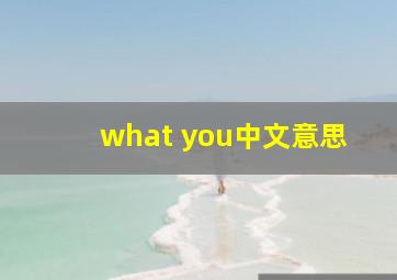 what you中文意思