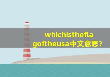 whichistheflagoftheusa中文意思?