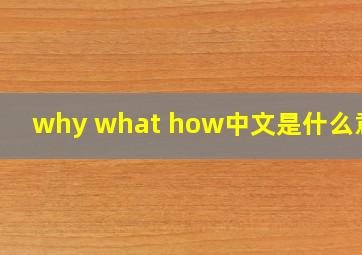 why what how中文是什么意思