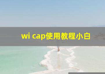 wi cap使用教程,小白