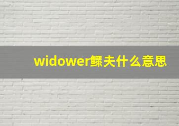 widower鳏夫什么意思