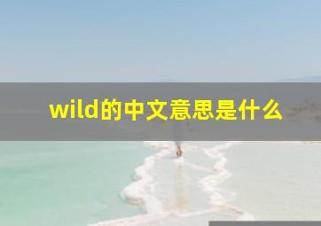 wild的中文意思是什么