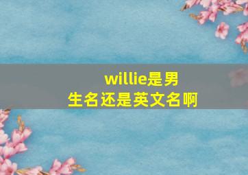 willie是男生名,还是英文名啊