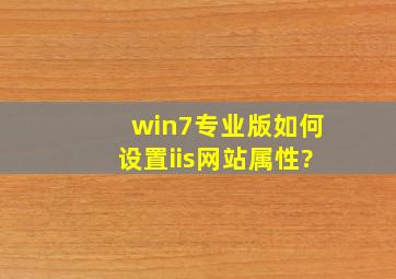 win7专业版如何设置iis网站属性?