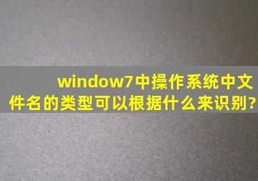 window7中操作系统中,文件名的类型可以根据什么来识别?