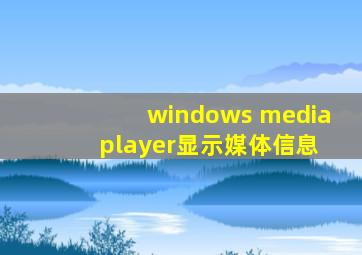 windows media player显示媒体信息