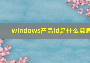 windows产品id是什么意思