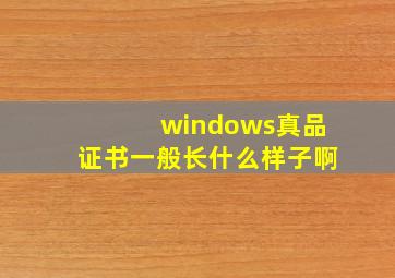 windows真品证书一般长什么样子啊