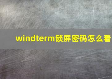 windterm锁屏密码怎么看