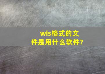 wis格式的文件是用什么软件?