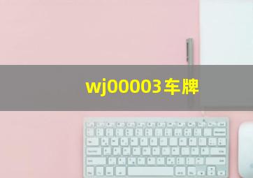 wj00003车牌