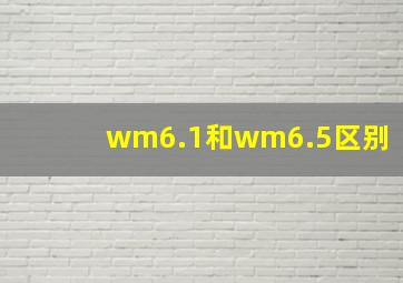 wm6.1和wm6.5区别