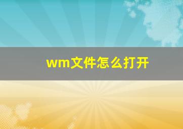 wm文件怎么打开