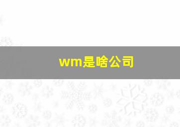 wm是啥公司((((