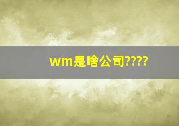 wm是啥公司????