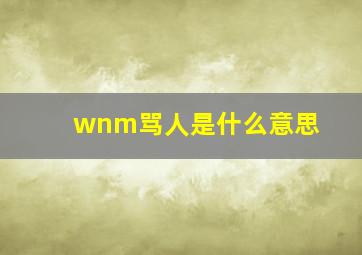 wnm骂人是什么意思