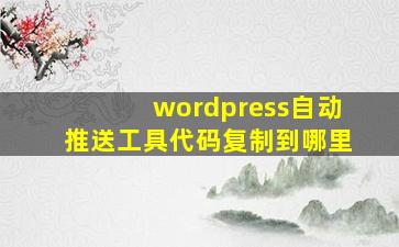 wordpress自动推送工具代码复制到哪里