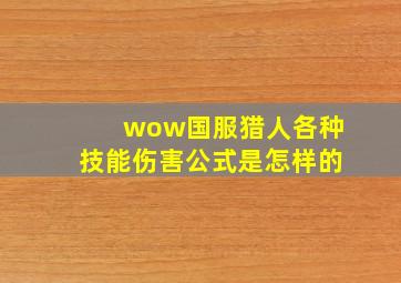 wow国服猎人各种技能伤害公式是怎样的(