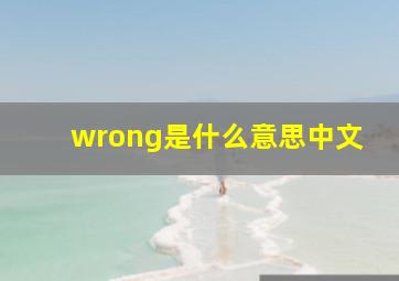 wrong是什么意思中文