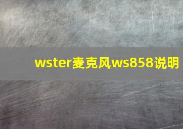 wster麦克风ws858说明