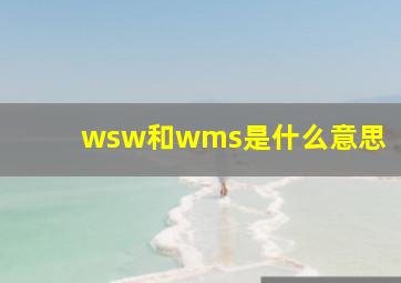 wsw和wms是什么意思(