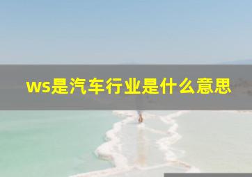 ws是汽车行业是什么意思