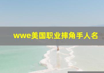 wwe美国职业摔角手人名