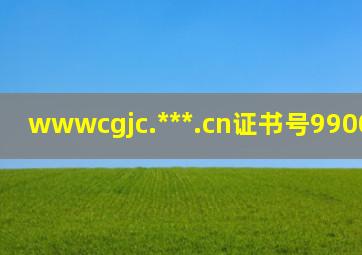 www,cgjc.***.cn证书号99000386866