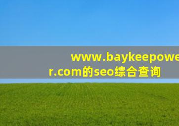 www.baykeepower.com的seo综合查询 