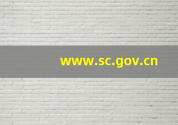 www.sc.gov.cn