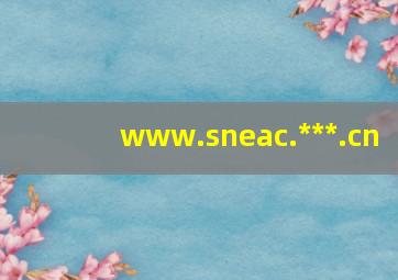 www.sneac.***.cn