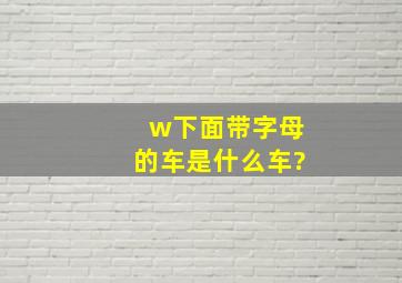 w下面带字母的车是什么车?