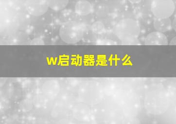 w启动器是什么