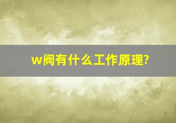 w阀有什么工作原理?