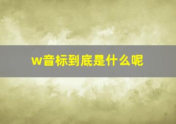 w音标到底是什么呢 