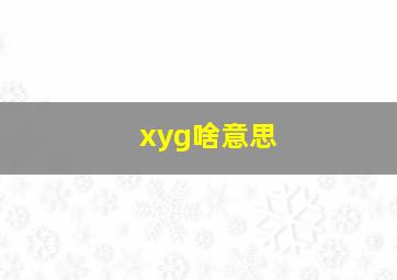 xyg啥意思(