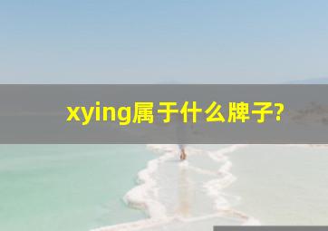 xying属于什么牌子?