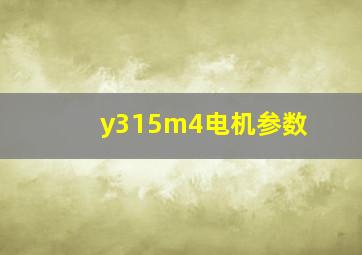 y315m4电机参数(