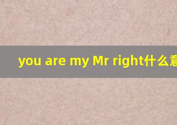 you are my Mr right什么意思?