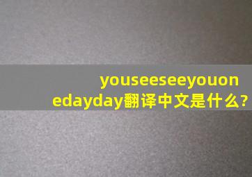 youseeseeyouonedayday翻译中文是什么?