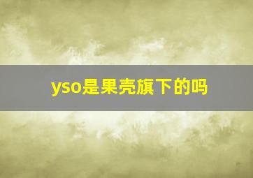 yso是果壳旗下的吗