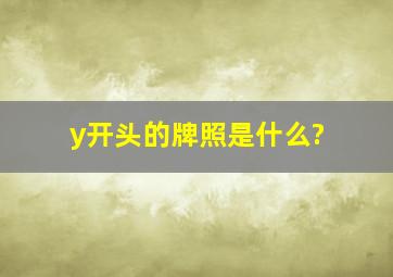 y开头的牌照是什么?