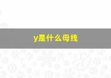 y是什么母线